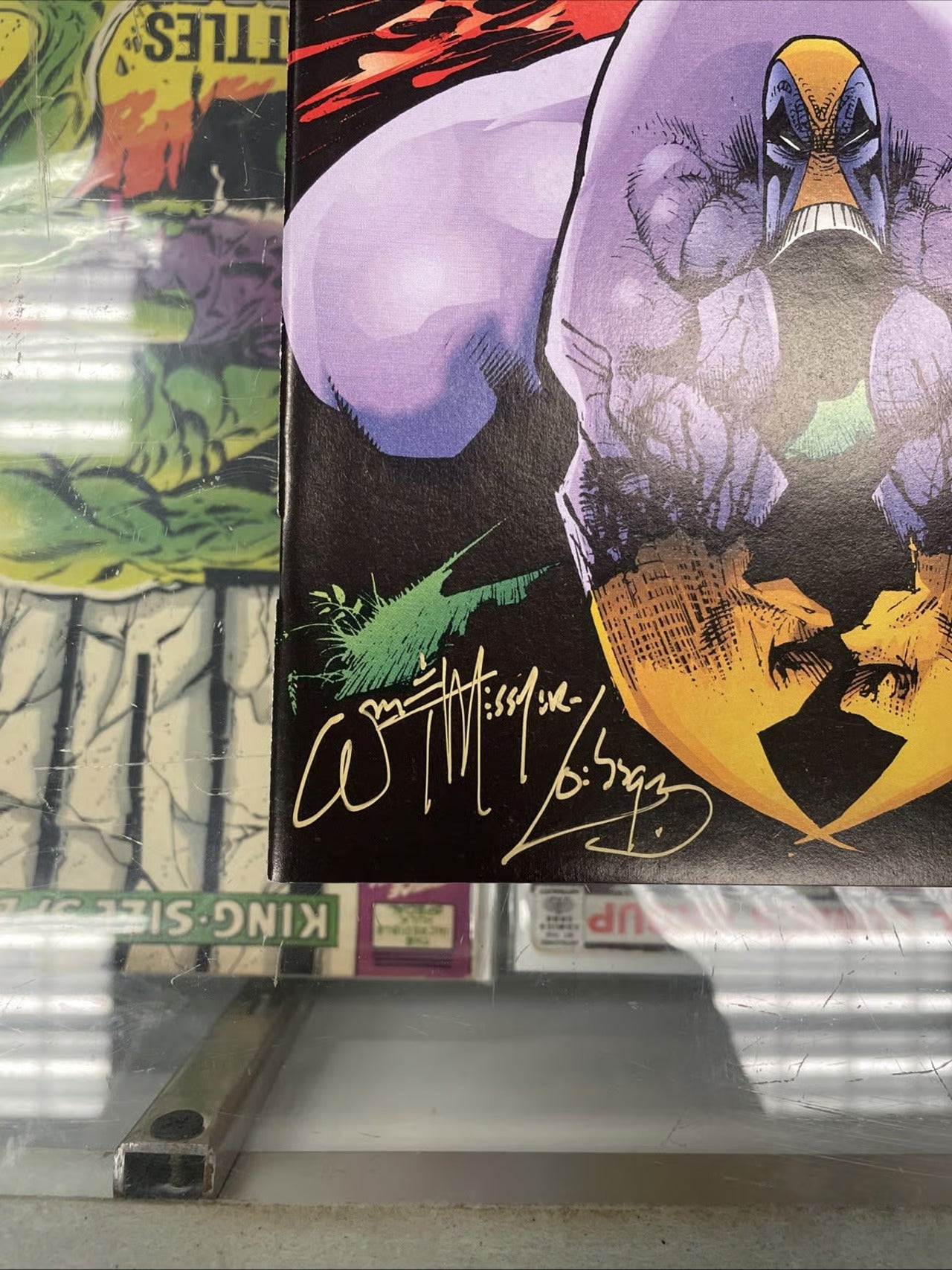 The Maxx #1 (1993) Signed By Willliam Messner-Loeb + COA
